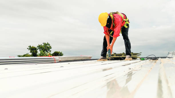 Skylights in Hamilton, GA